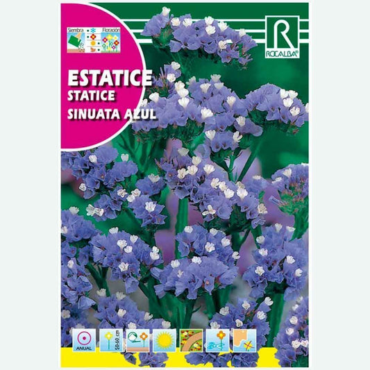 STATICE SINUATA BLEU - ENVELOPPE DE GRAINES 0,5G