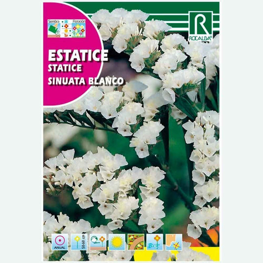 STATICE SINUATA BLANC - ENVELOPPE DE GRAINES 0,5G