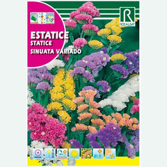 STATICE SINUATA VARIED - ENVELOPE DE SEMENTES 0,5G
