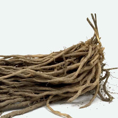 GARRAS DE ESPARGOS APOLO - 10 UNIDADES - GARRAS DE ESPARGOS