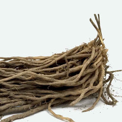 GARRAS DE ESPARRAGOS APOLO - 125 UD -ZARPAS DE ESPÁRRAGOS