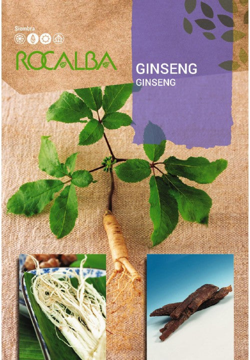 GINSENG - SOBRE DE 4 SEMILLAS APROX.