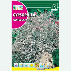 GYPSOFILA PANICULATA BRANCA - ENVELOPE SEMENTES 4G