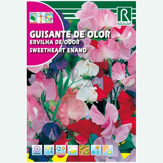 POIS DE SODEUR NAIN SWEETHEART - ENVELOPPE DE GRAINES 3G