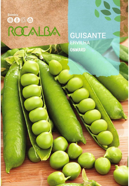 GUISANTE ONWARD 250 GR. MATABAJA - ROCALBA