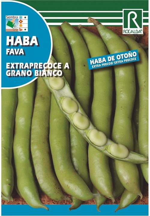 HABA DE OTOÑO EXTRAPRECOZ GRANO BIANCO 1KG - ROCALBA