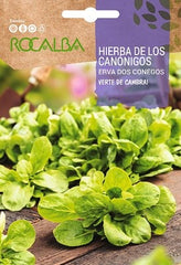 GRAMA DE CORDEIRO VERTE DE CAMBRIA - ENVELOPE DE SEMENTES 6G