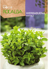 HORTELÃ - AMOSTRA DE SEMENTES 0,2 G