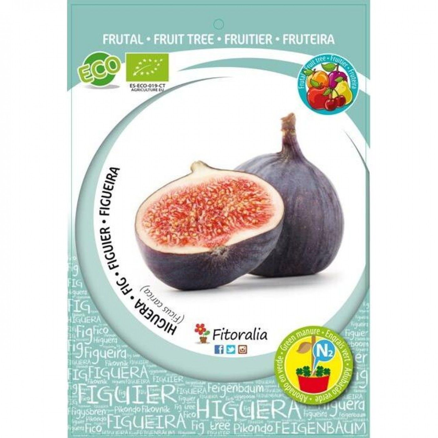 HIGUERA BREVA ECO - ARBOL FRUTAL