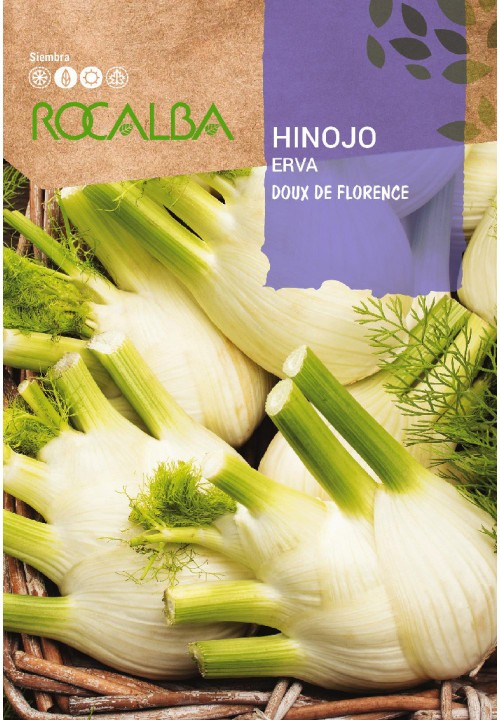 FUNCHO DOUX DE FLORENÇA - AMOSTRA DE SEMENTES 6G