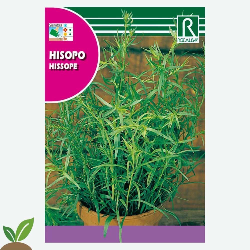 HISOPO - SOBRE DE SEMILLAS 2G