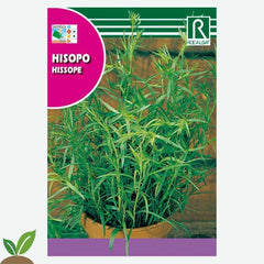 HISSOPO - ENVELOPE DE SEMENTES 2G