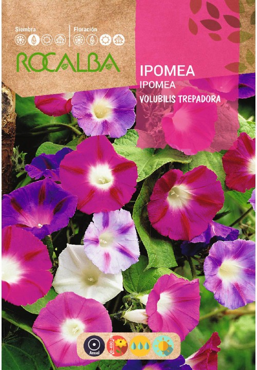 IPOMEA VOLUBILIS TREPADORA VARIADA - SOBRE DE SEMILLAS 10G