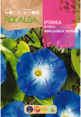 IPOMEA RUBRO COERULEA AZUL ESCALADA - AMOSTRA DE SEMENTES 10G