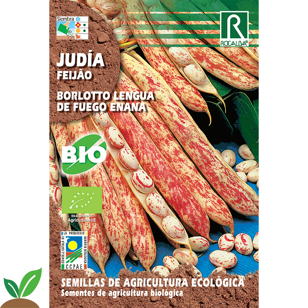 JUDIA BORLOTTO LENGUA DE FUEGO ECO