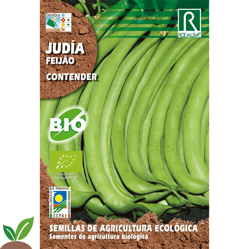 JUDIA CONTENDER ECO