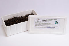 KIT 500 UD. DE LOMBRICES ROJAS CALIFORNIANAS CERTIFICADA