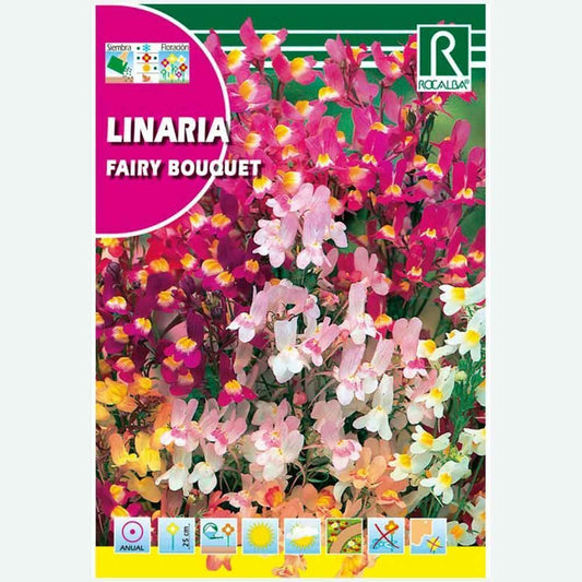 BOUQUET DE FÉE LINARIA, VARIÉ - ENVELOPPE DE GRAINES 2G