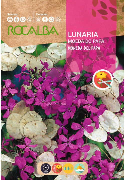 LUNARIA MONEDA DEL PAPA - SOBRE DE SEMILLAS 6G