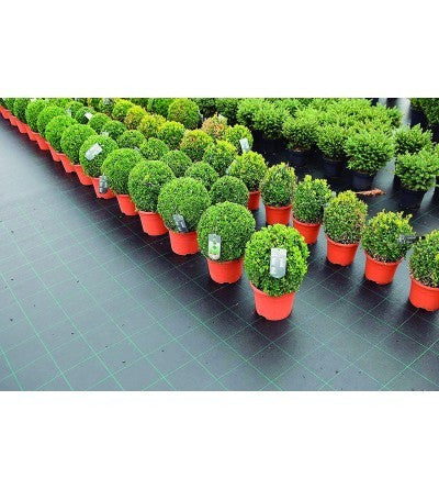 FILET ANTI-HERBE 2 X 10 M - 75G/M²