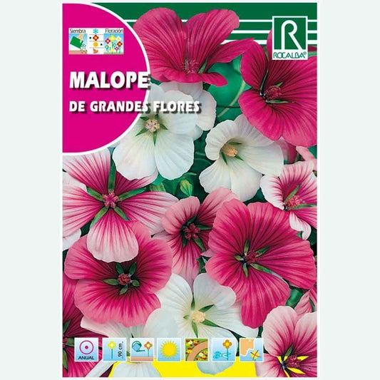 MALOPE GRANDE FLEUR VARIÉE - ENVELOPPE DE GRAINES 8G