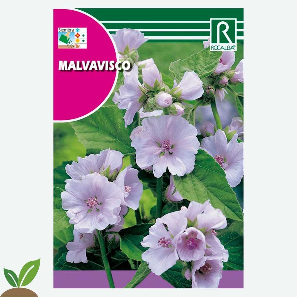 MALVAVISCO - SOBRE DE SEMILLAS 1G