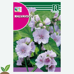 MARSHMALLOW - ENVELOPE DE SEMENTES 1G