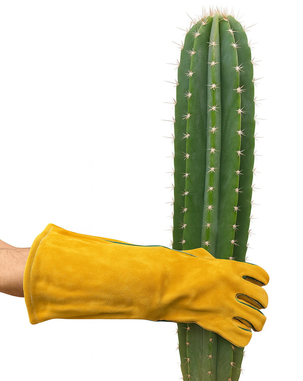 🧤 Guante para Cactus 40 cm (par)– Protección Total