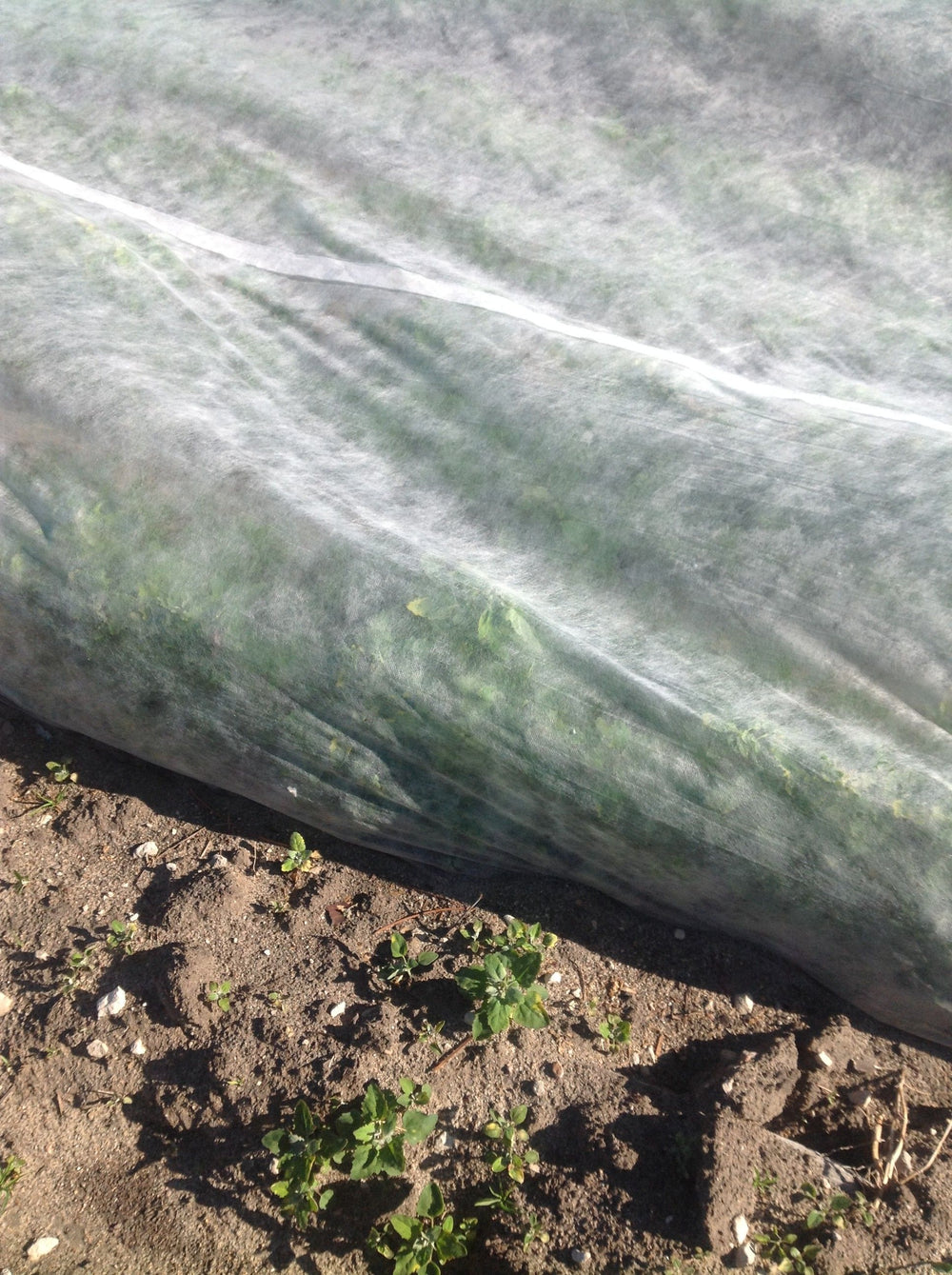 MANTA TÉRMICA 2X10 M - 17 GR/M2 VÉU DE PROTEÇÃO