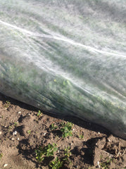 MANTA TÉRMICA 2X10 M - 17 GR/M2 VÉU DE PROTEÇÃO