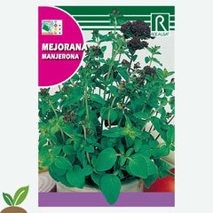 MARJORANA - ENVELOPE DE SEMENTES 1G