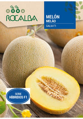 MELON GALIA F1 SEMILLAS 0.5GR-15 SEMILLAS ROCALBA