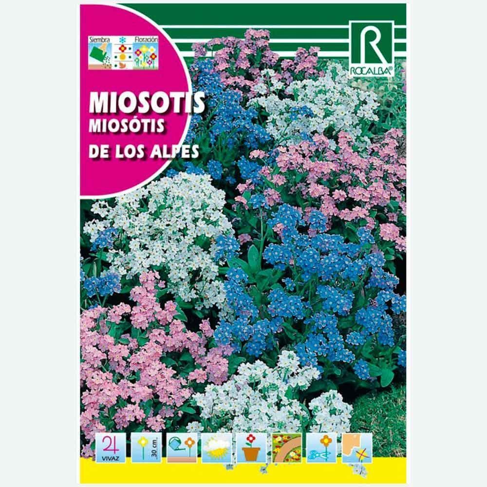 MIOSOTIS DE LOS ALPES VARIADO - SOBRE DE SEMILLAS 1G