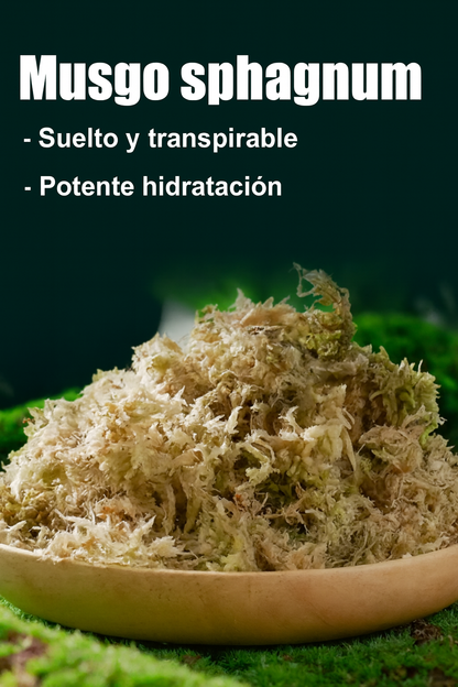 MUSGO DE SPHAGNUM PRENSADO 100 GRAMOS