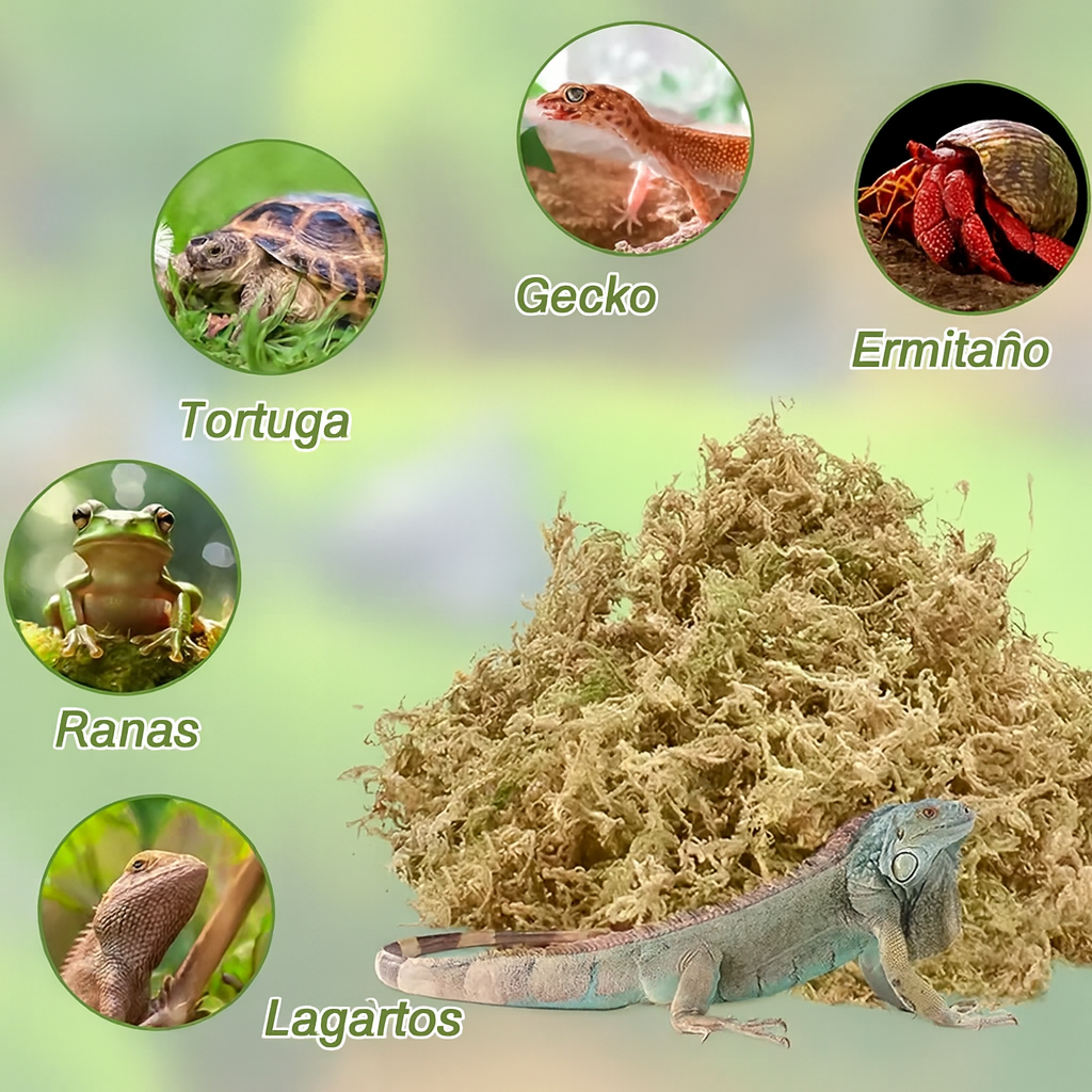 MUSGO DE SPHAGNUM PRENSADO 100 GRAMOS