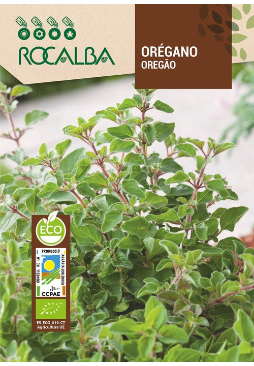 OREGANO ECO