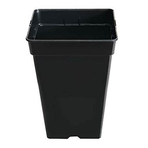 PACK DE 10 POTS CARRÉS EN PLASTIQUE NOIR 2L - 13X13X13