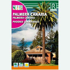 PALMERA CANARIA - SOBRE DE SEMILLAS 10 G