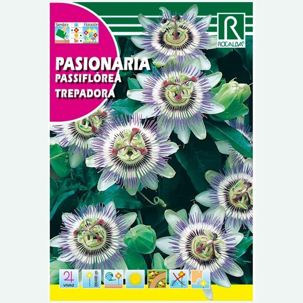 PASSIFLORA PASIONARIA TREPADORA - SOBRE  0,5G