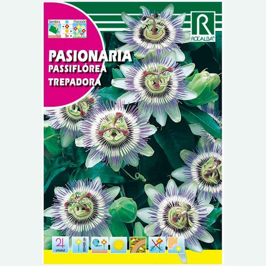 PASSIFLORE ESCALADE PASSIONNAIRE - ENVELOPPE 0.5G