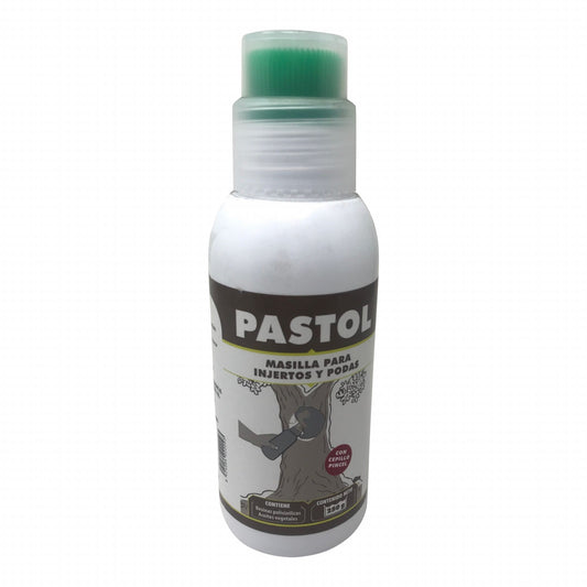 PASTOLE 250 GR. PÂTE CURATIVE