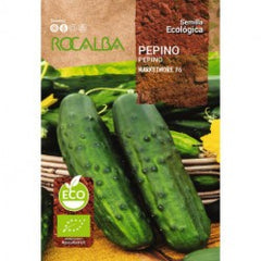 PEPINO MARKETMORE 76 ECO