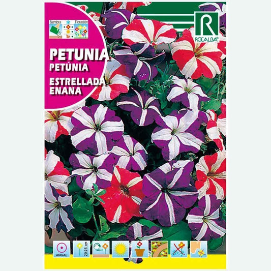 PÉTUNIA ÉTOILÉ NAIN VARIÉ - ÉCHANTILLON DE GRAINES 0,5G