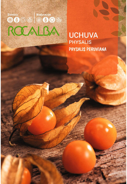 SEM. PHYSALIS UCHUVA - 0,3GR