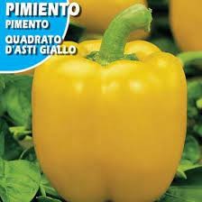 PIMIENTO " QUADRATO D ASTI GIALLO " SEMILLA