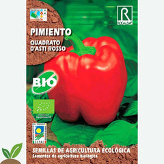 PIMENTA ECO QUADRATO D´ASTI ROSSO - AMOSTRA DE SEMENTES 0,5g