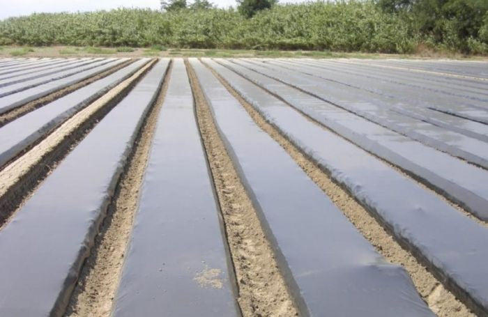 PLASTICO AGRICOLA NEGRO 100 GALGAS 1,20MX300M