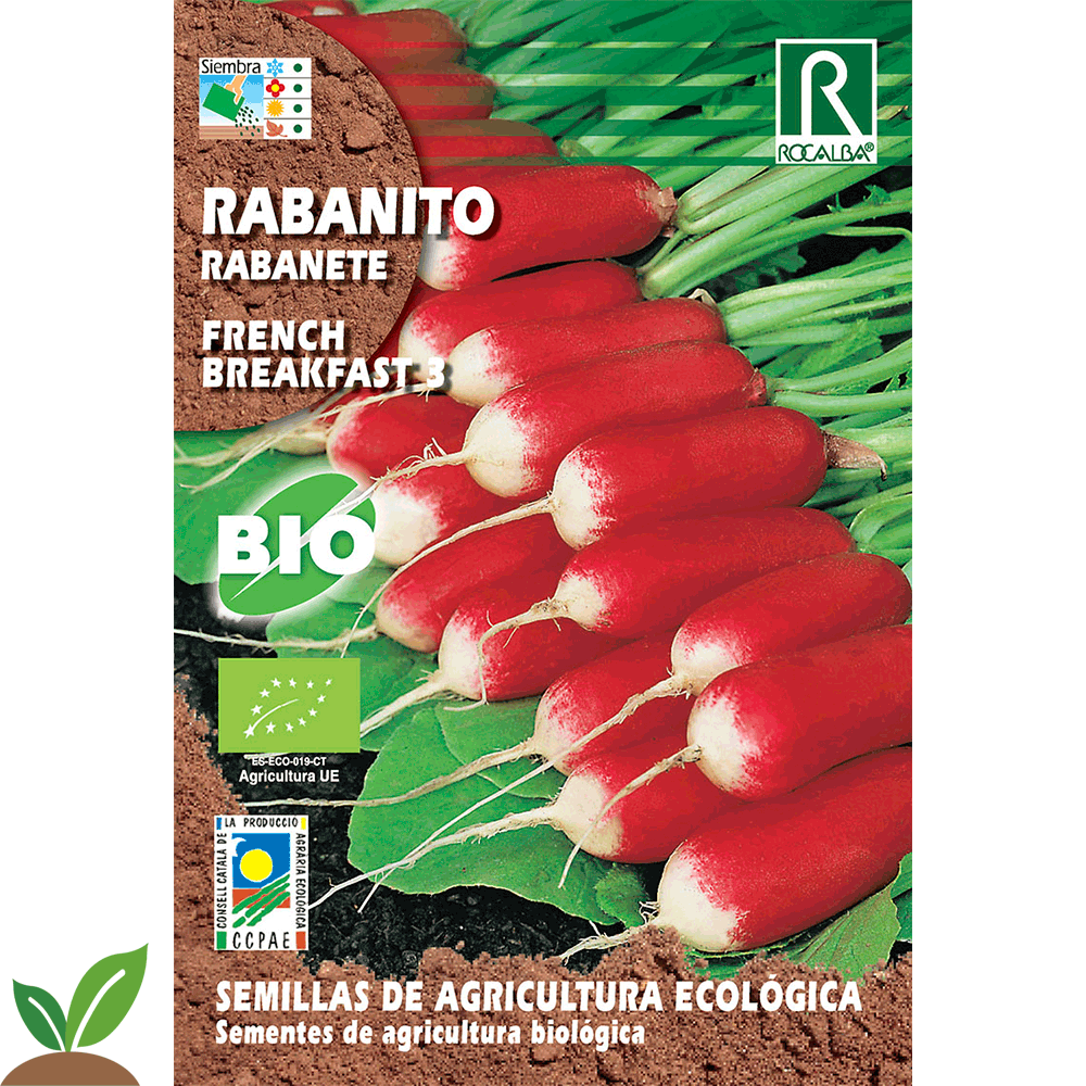 CAFÉ DA MANHÃ DE RABANETE FRANCÊS 3 ECO