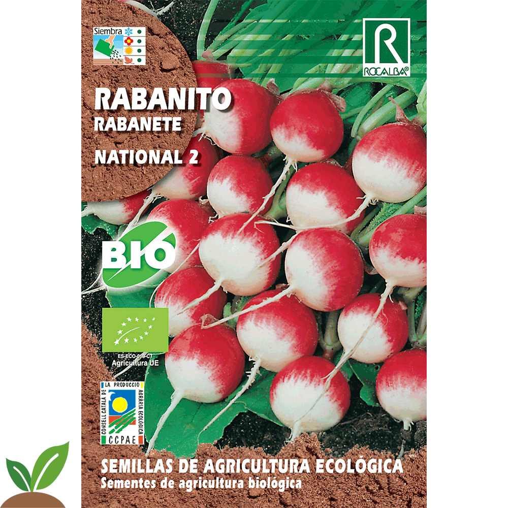 RABANETE NACIONAL 2 ECO