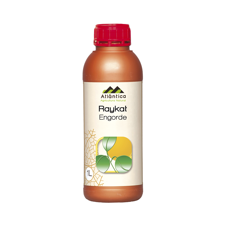 Raykat® Engorde 1L | Bioestimulante para el Engorde y Maduración de Frutos